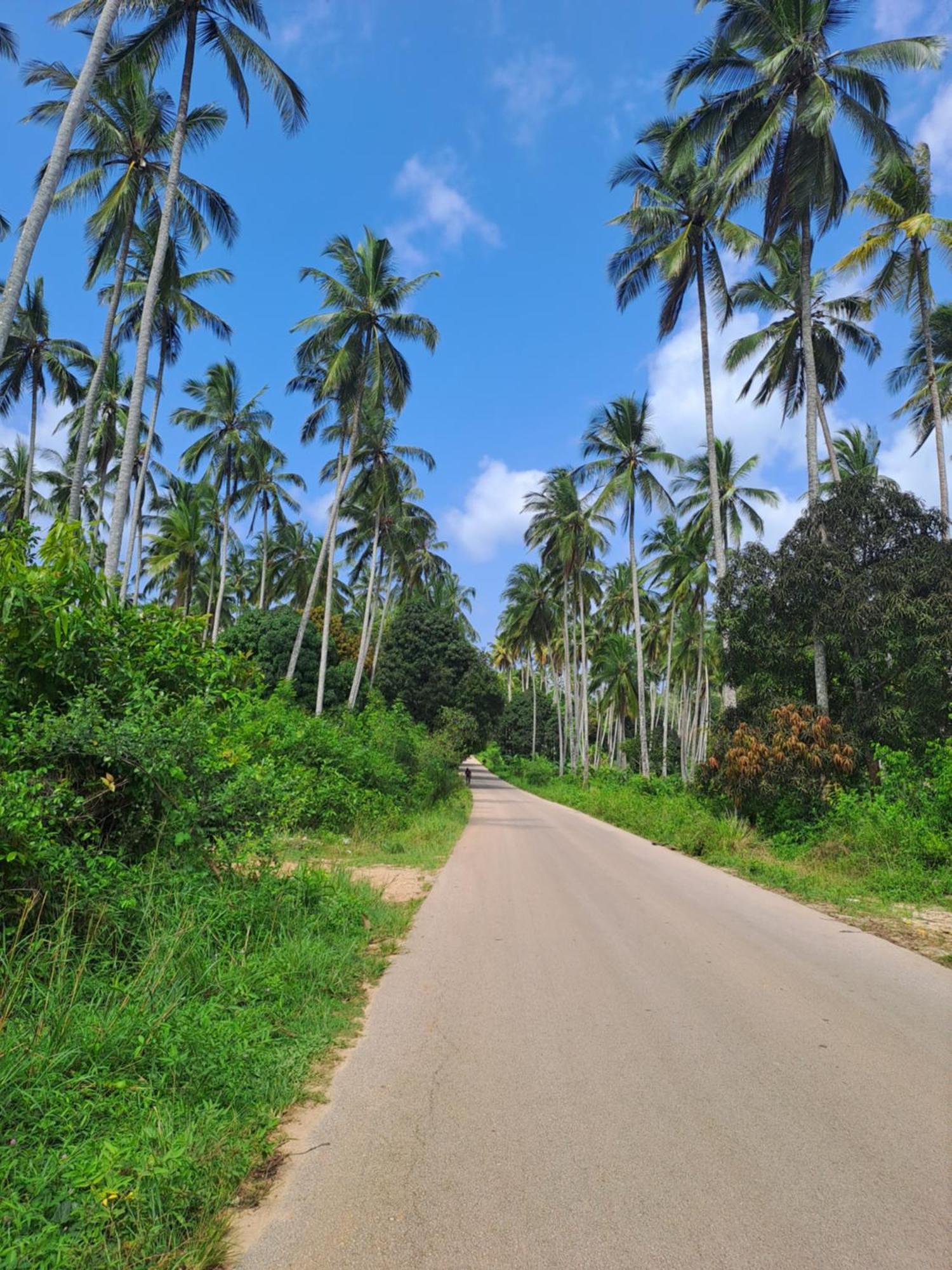 Villa Adelina Zanzibar Esterno foto