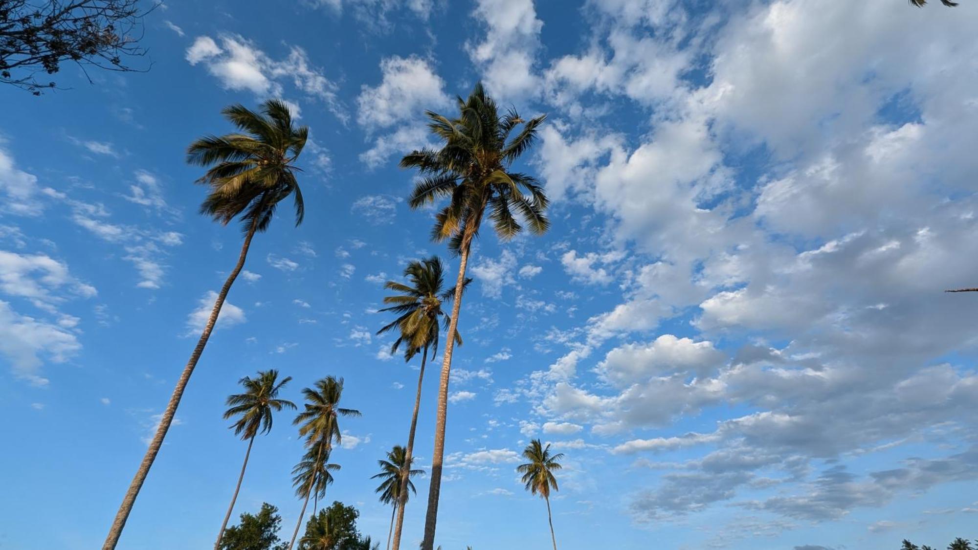 Villa Adelina Zanzibar Esterno foto